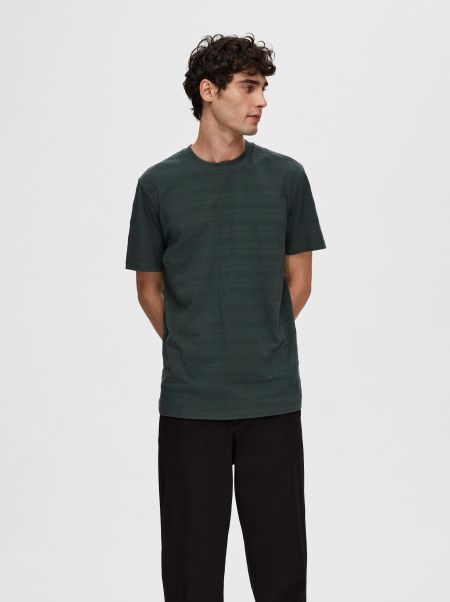 T-Shirts Texturé T-Shirt Green Gables Selected Homme