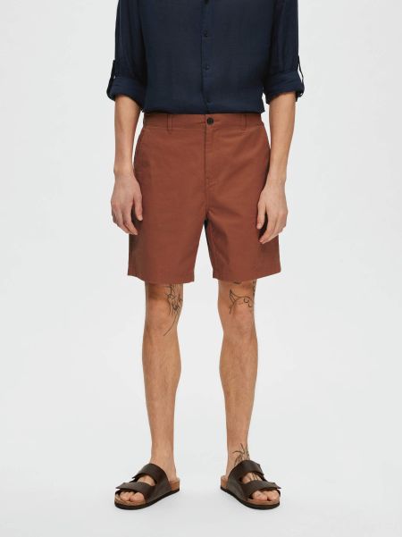 Shorts Coupe Confort Short Baked Clay Selected Homme