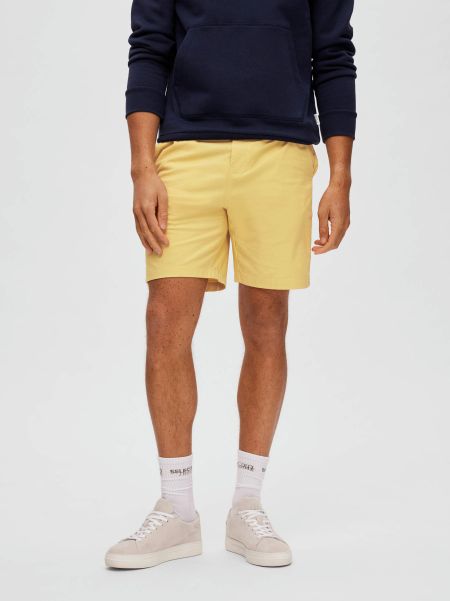 Selected Cocoon Coupe Confort Short Homme Shorts