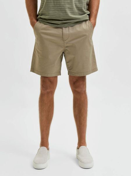 Homme Selected Shorts Coupe Confort Short Chinchilla